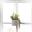 Plante grasse artificielle en pot 3 po Mcpeak
