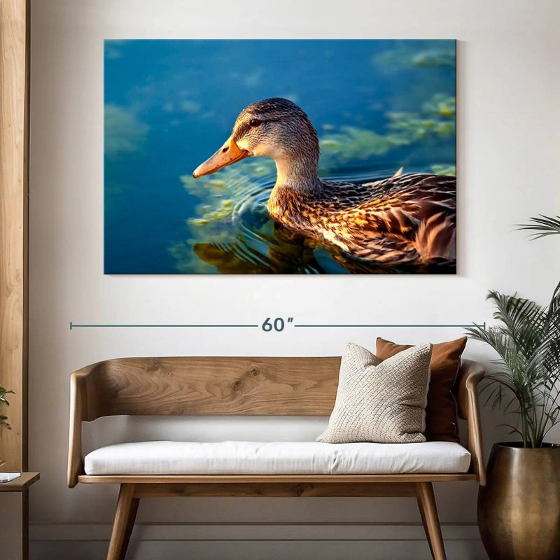 Canard colvert sur l'eau, H 34 po x l 51 po