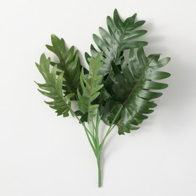 Philodendron Arrangement
