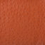 Orange/Rust