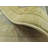Moore Oriental Indoor Rug-2003468126