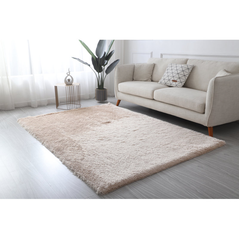 Tapis à poils longs champagne Egbert Collection, Rectangle 5 pi x 7 pi