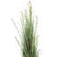 Herbe verte artificielle en pot et eucalyptus.-1366913790