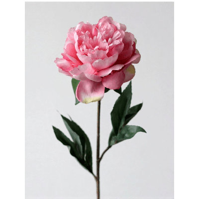 Tige de pivoine romantique - 27,6 po