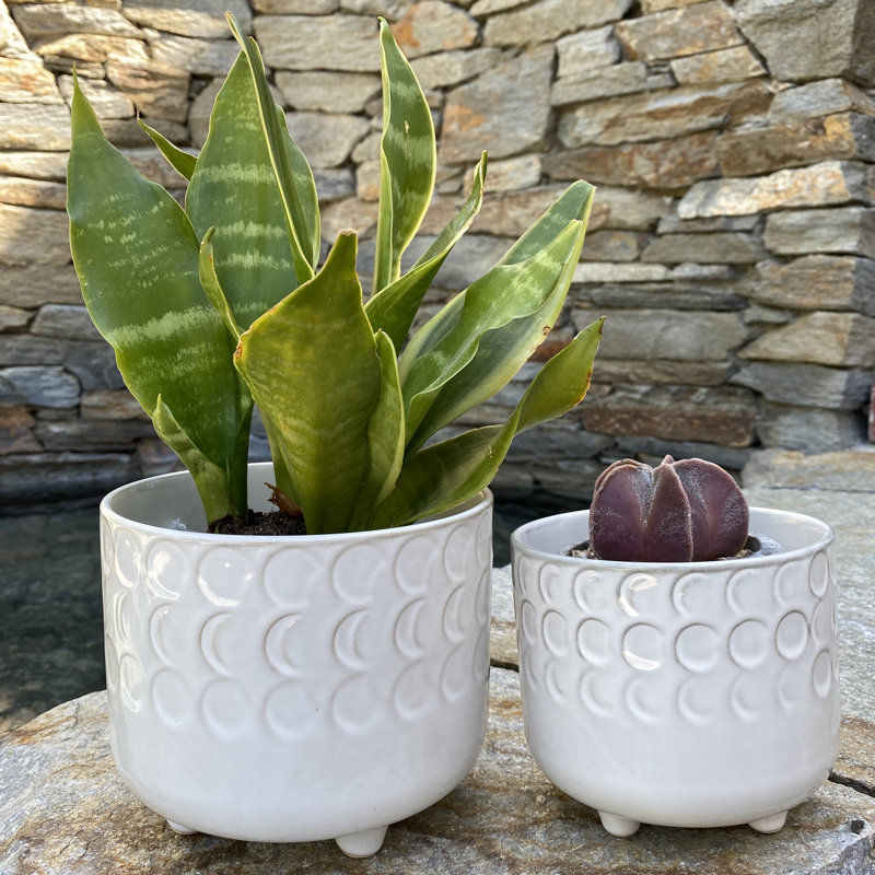 Escarlett Handmade Ceramic Pot Planter, Ivory