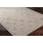 Don Oriental Indoor Rug-1382492633