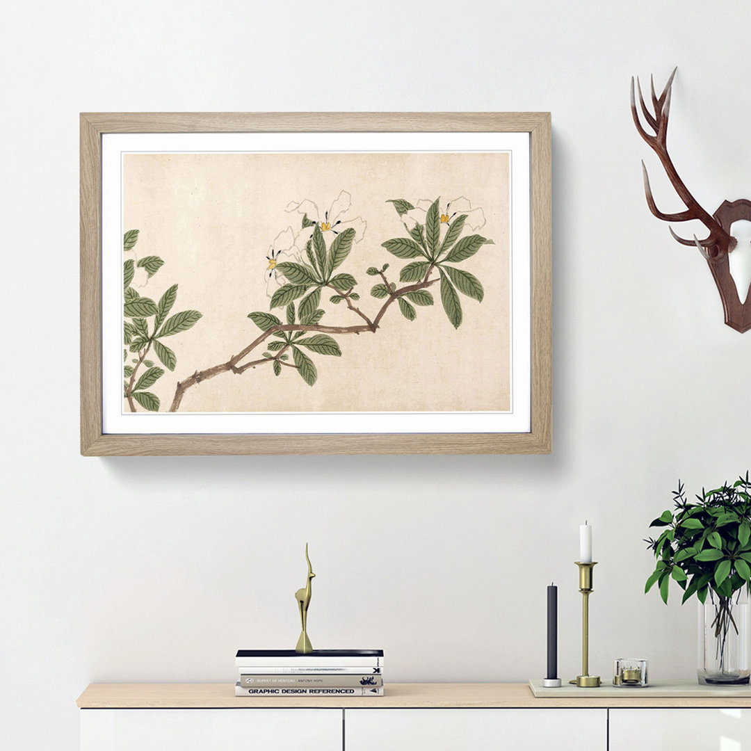 Flowers of the Four Seasons Vol.3 by Shen Zhou - Framed Print