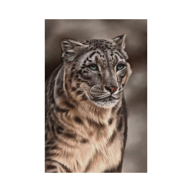 Snow Leopard by Richard Macwee - Gallery-Wrapped Canvas Giclée on Canvas, Canvas, 20.32 cm H x 30.48 cm W