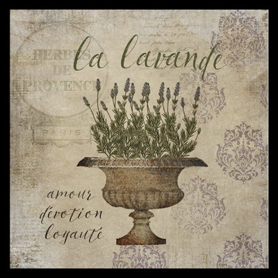 «French Herbs Lavender», impression sur papier