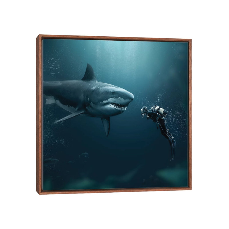 Shark Meets Diver by Zenja Gammer - Print on Canvas, 45.72 cm H x 45.72 cm W, Classic Brown Wood Framed
