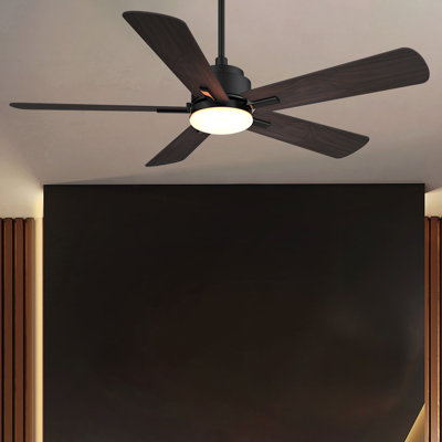 52'' Ceiling Fan with LED Lights
