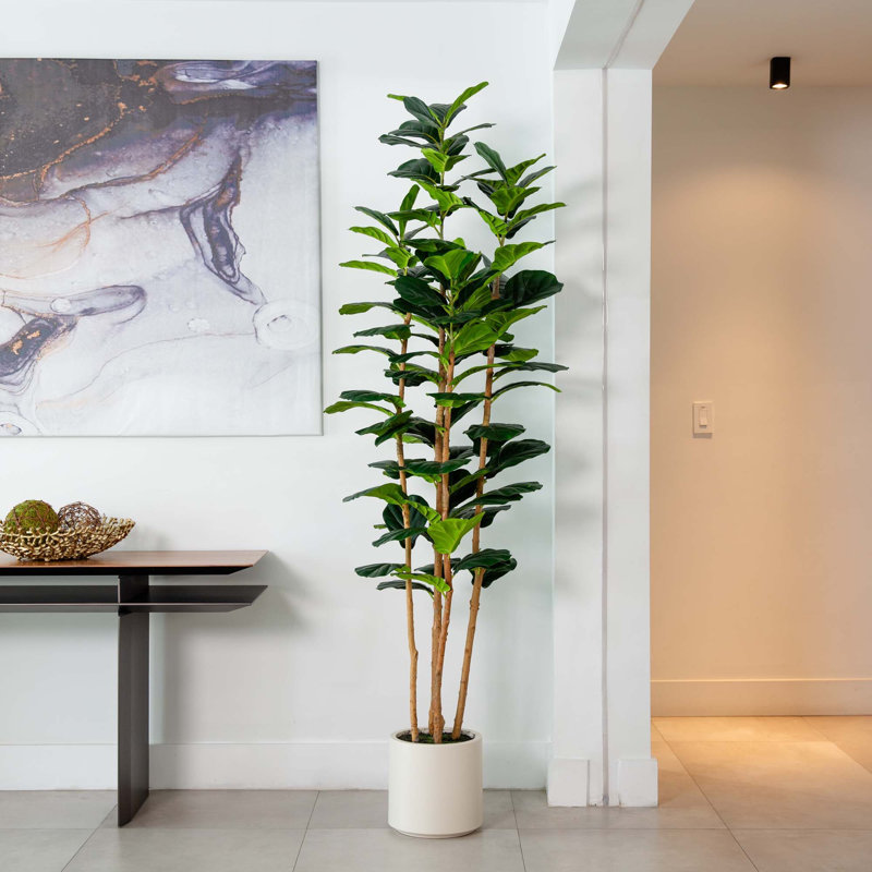 Artificial Fiddle Leaf Tree in Decorative White Planter, 84" H x 23" W x 23" D
