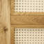 Aloizas Oak with Rattan Barn Door-213726067
