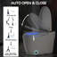 Toilette bidet avec fonctions intelligentes, siège chauffant, chasse automatique et télécommande - chasse au jet siphonique, à piles, bidet portatif intelligent à main, jet de séchage à air chaud,