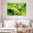 Brampt Frogs In An Embrace-108912995