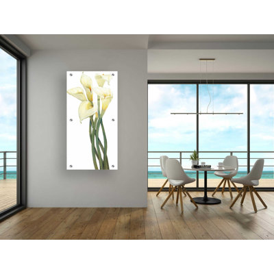 'Callas on Silver I' by Tim O'Toole, Acrylic Glass Wall Art