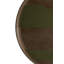 Second Nature Decorative Tray