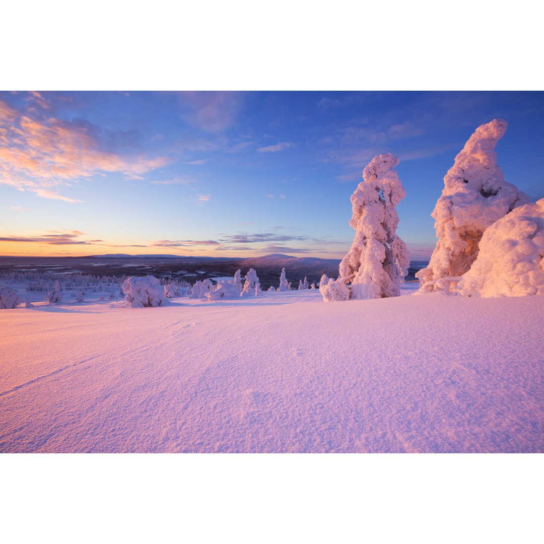 Sonnenuntergang über gefrorenen Bäumen von Sara_winter - Drucken