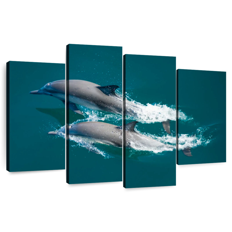 Mer des dauphins de Cortes, H 32 po x l 52 po