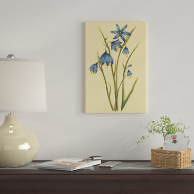 «Large Flowered Blue Eyed Grass», reproduction sur toile