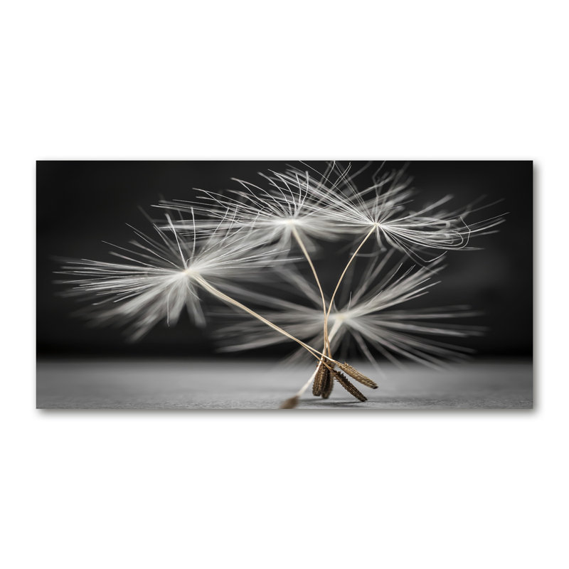 Dandelion Seeds - No Frame Print, Canvas, 70cm H x 140cm W