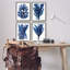 Varech bleu océan-115738175-115746991
