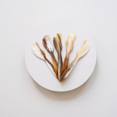 Maadili Collective Ankole Longhorn