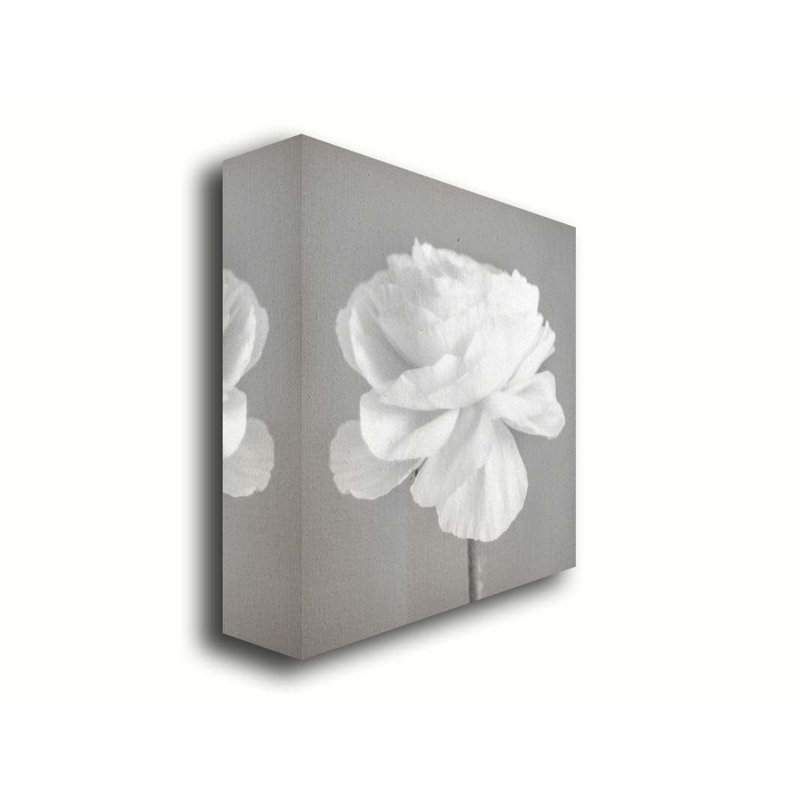 Simplement rose, noir et blanc par Hal Halli. Estampe numérique, H 40 po x l 40 po, Toile tendue, Ne s’applique pas