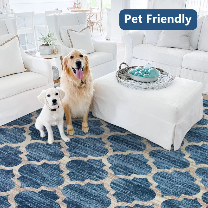 Tawann Classic Moroccan Machine Washable  Area Rugs with Non-Slip Backing Perfect for Living Room, Dining Room, Bedroom Decor