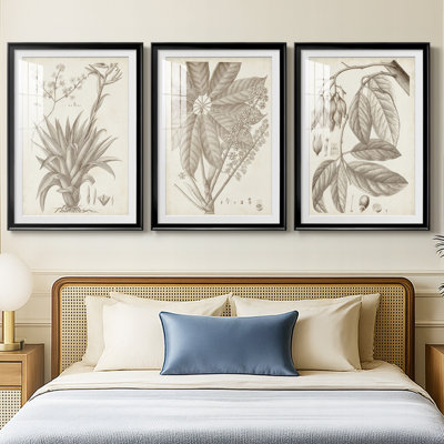 Sépia plantes exotiques IV - reproduction sur mesure encadrée de qualité supérieure - 3 pièces
