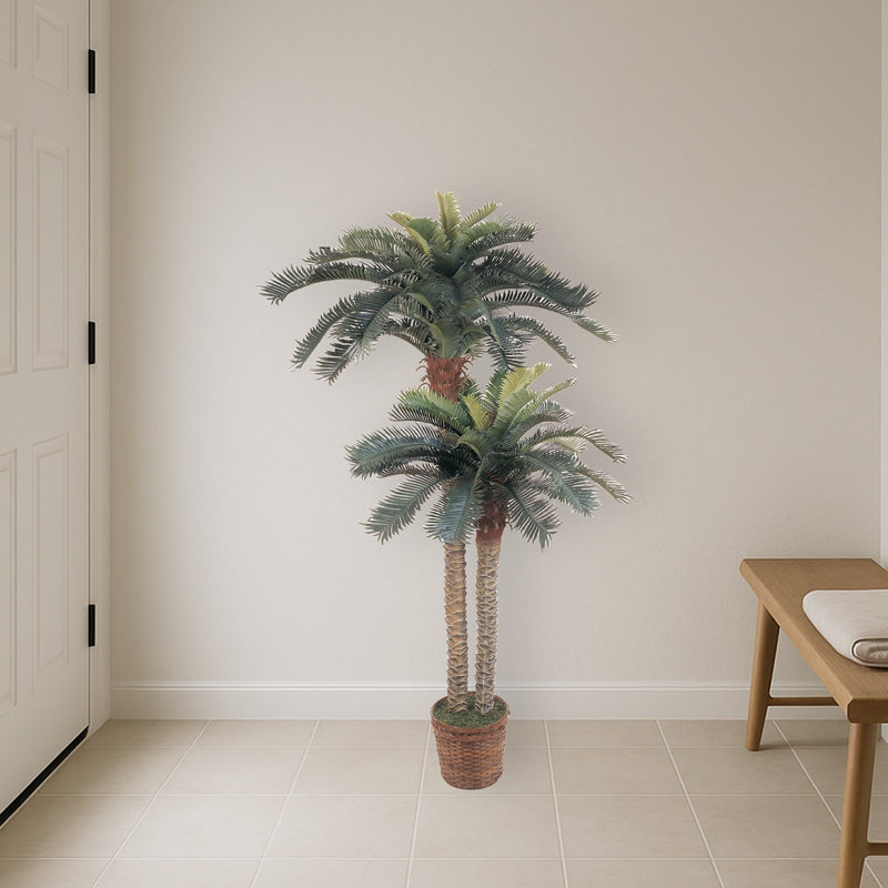 Double Potted Sago Palm Silk Tree