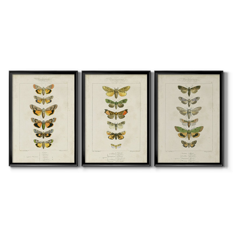 «Mauve Butterflies I - Toile tendue avec châssis sur mesure - 3 pièces, Noir, H 21 po x l 30 po
