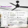 Bubacarr  48'' Matte Black Ceiling Fan with LED Light and Remote Control