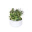 Faux Succulent-850935515