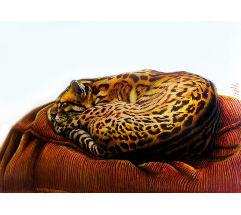 OCELOTE