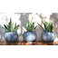 Pot de fleurs en résine Dyles-2127296973