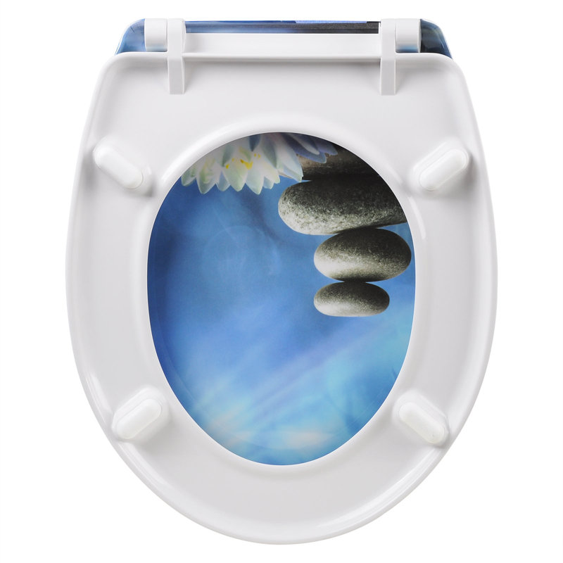 Dejaneira Soft Close Elongated Standard Toilet Seat