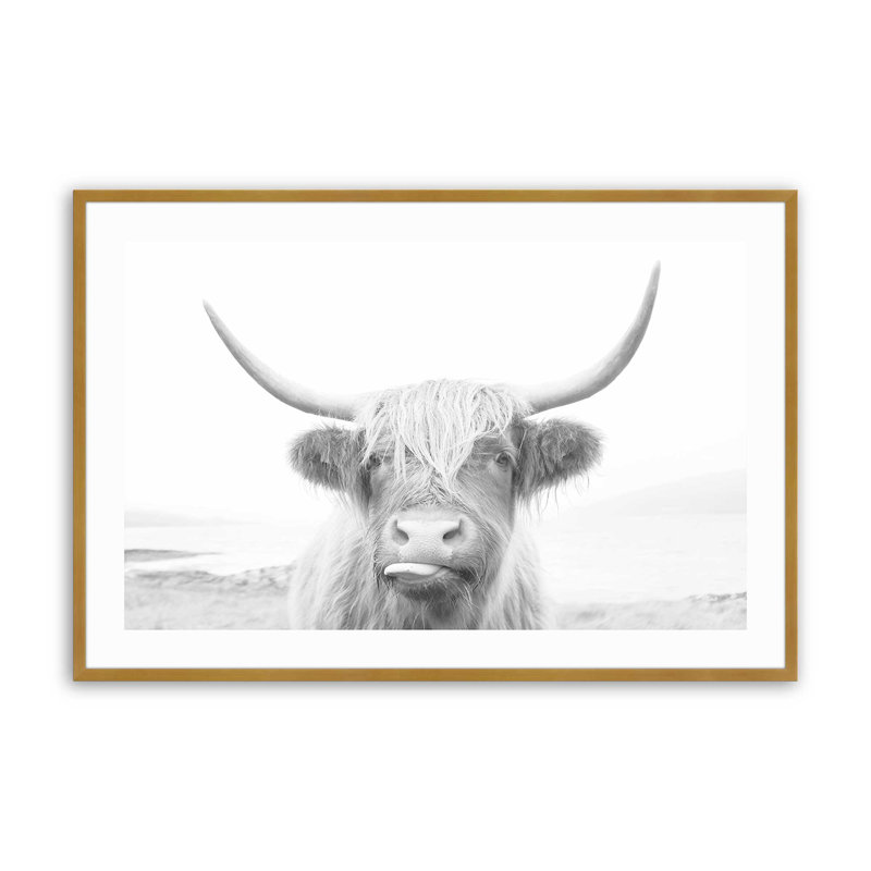 Imprimé de vache Highland ludique, Cadre doré poli, H 17,25 po x l 21,25 po x P 1,25 po
