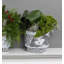 Rainhas de Portugal Handcrafted Porcelain China Table Vase