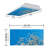 Octo Lights - Fluorescent Light Covers - Flexible Decorative Light Diffuser Panels - Tree - For Classrooms And Offices - Tree 002
