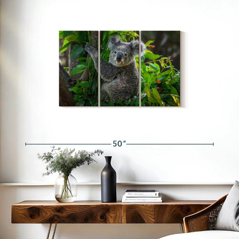 Mignon koala, H 20 po x l 33 po