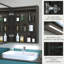 Behare W 700mm H Surface Frameless Medicine Cabinet Mirror 2 Adjustable-511271017