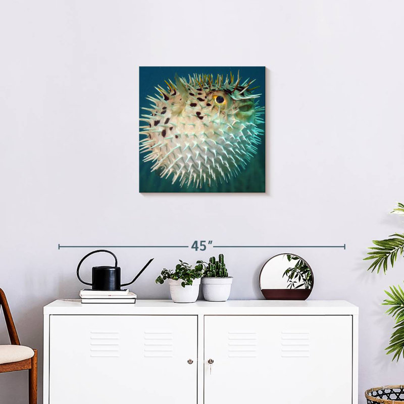 Brampt Puffer Fish, 20" H x 20" W