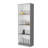 Zachary Shelves Bookcase