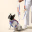 Harnais pour animal de compagnie Arlo-112400928-128618013