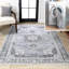 Frutuosa Bohemian Distressed Chenille Machine-Washable Grey/White Rug-88570916