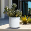 Pot de fleurs rond vert côtelé de 17,3 po Greenebaum-1286466874-1286466877
