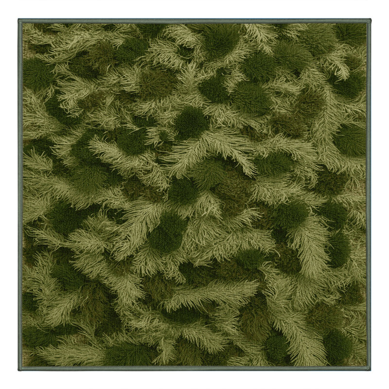 Machine Washable Botanical Green Area Rug, Square 6'