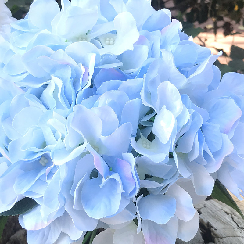 Arrangement de hortensia en vase, Azure