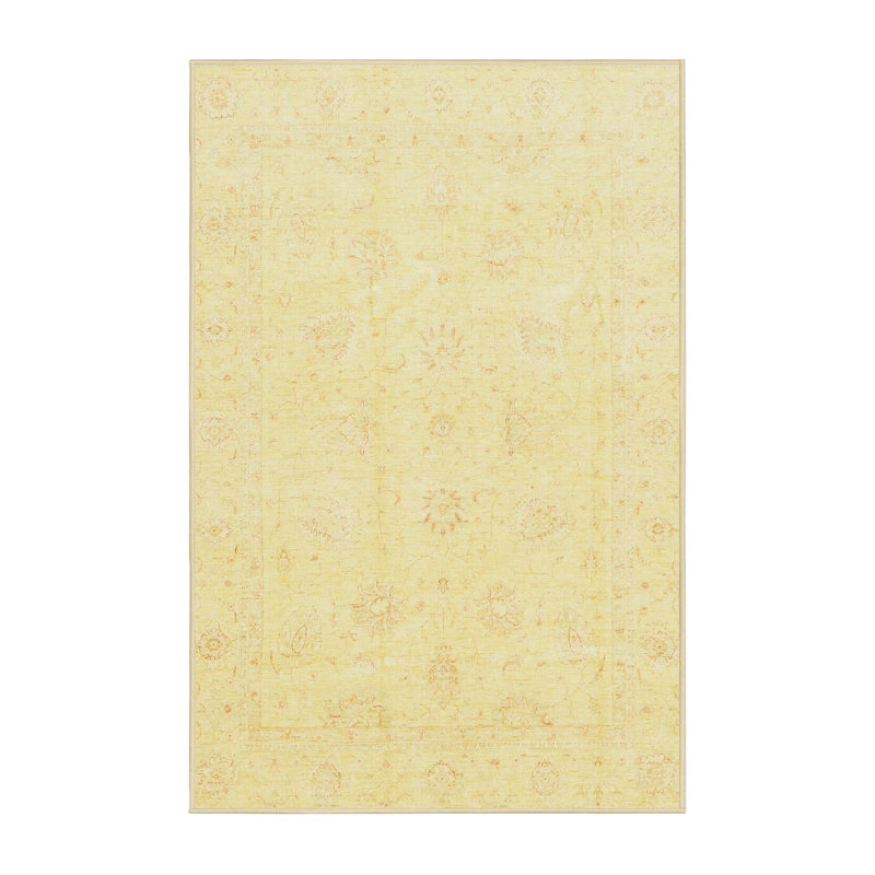 Oriental Indoor Rug, Rectangle 6' x 9'